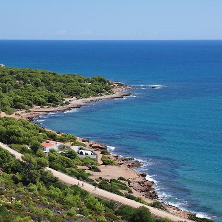 La Casa Del Pompon Διαμέρισμα Benicàssim Εξωτερικό φωτογραφία